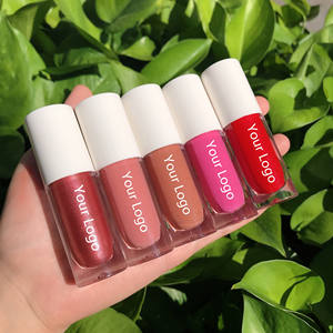 Rouge à lèvres végétalien liquide imperméable, 57 couleurs, étiquette privée, rouge à lèvres mat personnalisé, vente en gros - Product Image 1