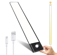 Détecteur de mouvement à Led Rechargeable par Usb, vente en gros, éclairage d'intérieur pour armoire de cuisine