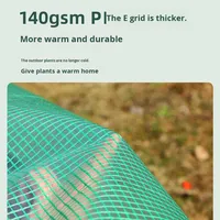Serre de jardin tunnel facile à assembler, résistante au gel, avec support en fer, pour plantes et semis