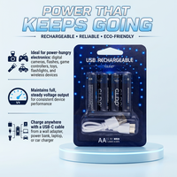 Piles rechargeables AA au nickel-zinc 1,6 V avec câble USB-C 1,8 Wh