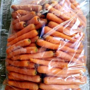 Neue Pflanzen, frisches Bio-Gemüse, Großhandel Karotten/Chinesische frische Karotten nach Malediven exportiert - Product Image 5