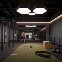 Plafonnier LED modulaire hexagonal pour salle de sport, studio de fitness
