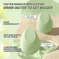 Juego de Esponjas de Maquillaje Hidrófilas, Sin Látex, Transparentes, Antipolvo, Portátiles, de Diferentes Formas, 4/8 Piezas, Marca JLY OEM