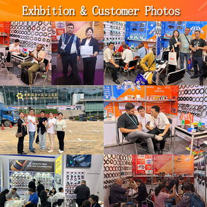 Fornitura di paraolio del servosterzo per Automobile - Product Image 6