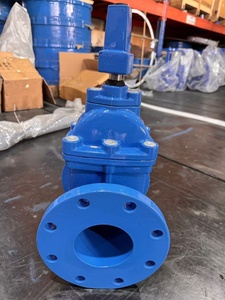 <span class=keywords><strong>Vanne</strong></span> à opercule assise résiliente AWWA C515 NRS avec commande par clé en T - Product Image 4