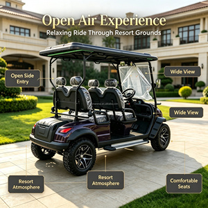 Voiturette <span class=keywords><strong>de</strong></span> transport électrique <span class=keywords><strong>de</strong></span> luxe pour hôtel, 4 places avec auvent, moteur silencieux, zéro émission, OEM - Product Image 2