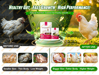 Prémélange concentré pour volailles Vitboo OEM, stimule la croissance des poulets de chair, engraissement rapide, améliore le taux de conversion des aliments, paquet de 1 kg