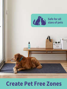 ペット用噛み防止ビタースプレー屋内忌避スプレーは、犬が裂けたり引っ掻いたりしないようにする - Product Image 4