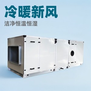 Unité de climatisation combinée à air pur, refroidie par eau, à expansion directe, 900 CFM, système CVC commercial pour hôtels - Product Image 4