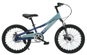 Nuevo modelo de bicicleta de montaña de lujo para niños y niñas de 22"