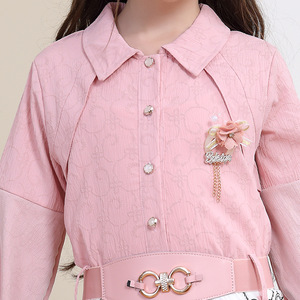 Robe d'été douce pour filles Nouvelle silhouette droite décontractée à la mode à imprimé formel au genou - Product Image 3
