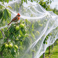 Filet anti-oiseaux robuste en rouleau de 50 m pour la protection des vignobles, des vergers, des baies et comme dissuasion pour les jardins - Vente en gros (Royaume-Uni)