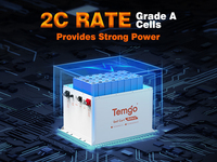 Baterai Golf Cart TEMGO Smart Bluetooth 48V 100Ah LiFePO4 dengan Casing Logam, Charger Layar LCD, dan BMS 300A untuk Dealer