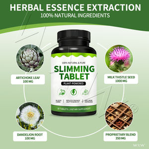 Fabricant OEM ODM de comprimés pour le soutien immunitaire sans sucre et de capsules coupe-faim à base de plantes - Product Image 6