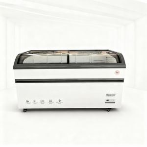 Réfrigérateur-congélateur commercial avec logo personnalisé, refroidissement direct intégré, compresseur, pour la présentation de la crème glacée - Product Image 3