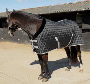 在你的马休息时发现透气的稳定马毯，以调节温度和保护温度 - Product Image 2