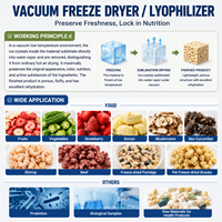 Vacuümlyofilisator vriesdroogmachine voor probiotica, biologische monsters, gezondheidsproducten en grondstoffen