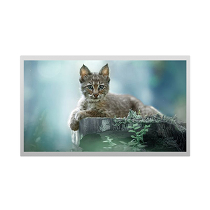 High Quality 18.5 Inch TFT LCD Module Display Panel <b>Custom</b> Size IPS LCD Screen for Industrial / Medical / Automotive - Product Image 1