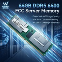 Mémoire DDR5 64 Go 6400 MT/s PC5-51200 2Rx4 RDIMM ECC Registered pour l'entraînement IA, l'informatique haute performance (HPC) et les serveurs DDR5
