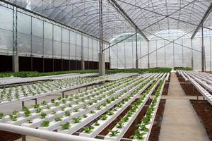 Microgreen vegetales 2 pulgadas neto marihuana cultivo hidropónico de red de malla de <span class=keywords><strong>herramienta</strong></span> - Product Image 2