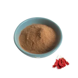High quality Ciyuan Factory Supply Schisandra Chinensis Extract Powder / Schizandra Berry Powder