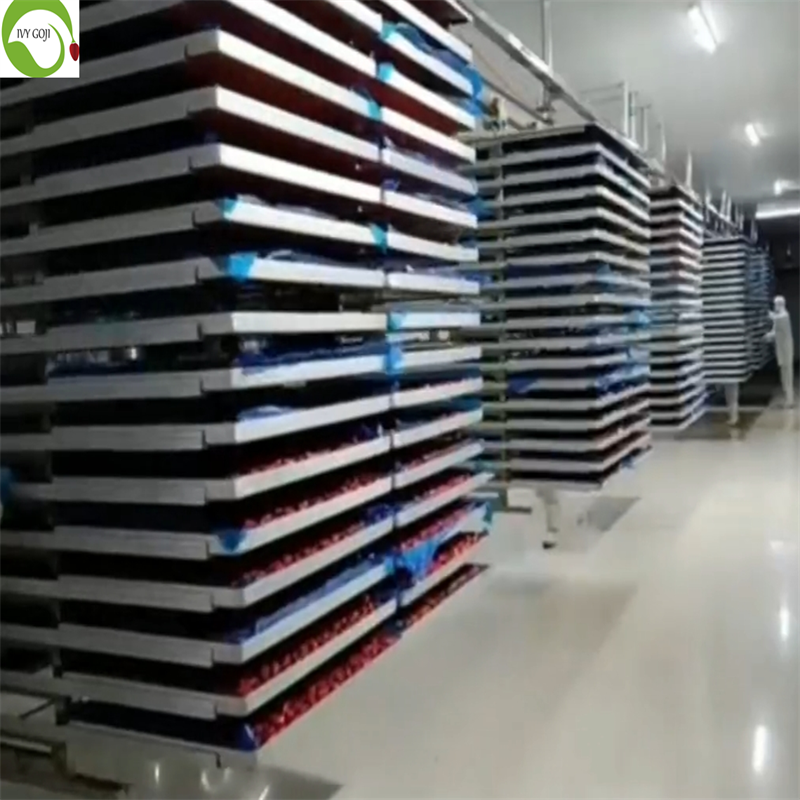 dried strawberries fruits