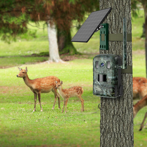 A6 Wildlife <strong>Camera</strong> Cellular 4G LTE <strong>Real</strong> Time Tracking 940mm Sunless Solar Panel Night Vision Outdoor <strong>Camera</strong> - Product Image 6