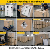 Batterie au lithium LiFePO4 48V 16kWh (ou 17kWh) pour stockage d'énergie solaire photovoltaïque, 16kW, 51.2V, 314Ah, livraison DDP Pologne
