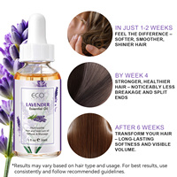 Huile Essentielle de Lavande en Gros pour Diffuseur, Massage, Soins de la Peau, Aromathérapie – Fournisseur OEM ODM – Distillée à la Vapeur
