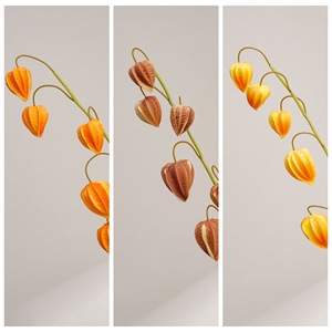โคมไฟประดับตกแต่งงานแต่งงาน CallaFloral รูปผลไม้สีส้ม แสงสีส้มอ่อน สไตล์ INS สำหรับตกแต่งงานแต่งงาน นำเข้าจากต่างประเทศ - Product Image 3