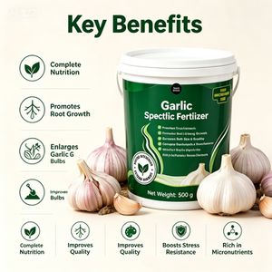 <span class=keywords><strong>Engrais</strong></span> en poudre NPK Premium pour l'ail 500g, enrichi en Calcium et Zinc, à libération rapide, améliore la qualité des bulbes, améliore le goût, améliore la conservation, renforce - Product Image 4