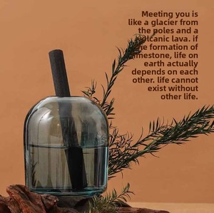 Creative Thickened Glass High-End Aroma <strong>Diffuser</strong> Heat Transfer Printing Transparent Home Fragrance Decoration Diffusing Bottle - Product Image 3