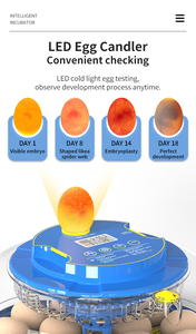 WONEGG yeni Trend 18 <span class=keywords><strong>AC</strong></span> DC Inqubator yumurta kuluçka otomatik makine yumurta kuluçka İtalya fiyatları - Product Image 4