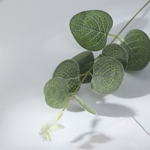 Rama de Eucalipto <span class=keywords><strong>Artificial</strong></span> con Hojas Plateadas, Follaje <span class=keywords><strong>Artificial</strong></span>, Accesorio Decorativo para Fotografía, Caja de Regalo, Corona - Product Image 6