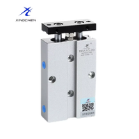 Cilindro Neumático de Doble Vástago Serie TDA, Cilindro de Aire Compacto de Doble Acción para Automatización Industrial