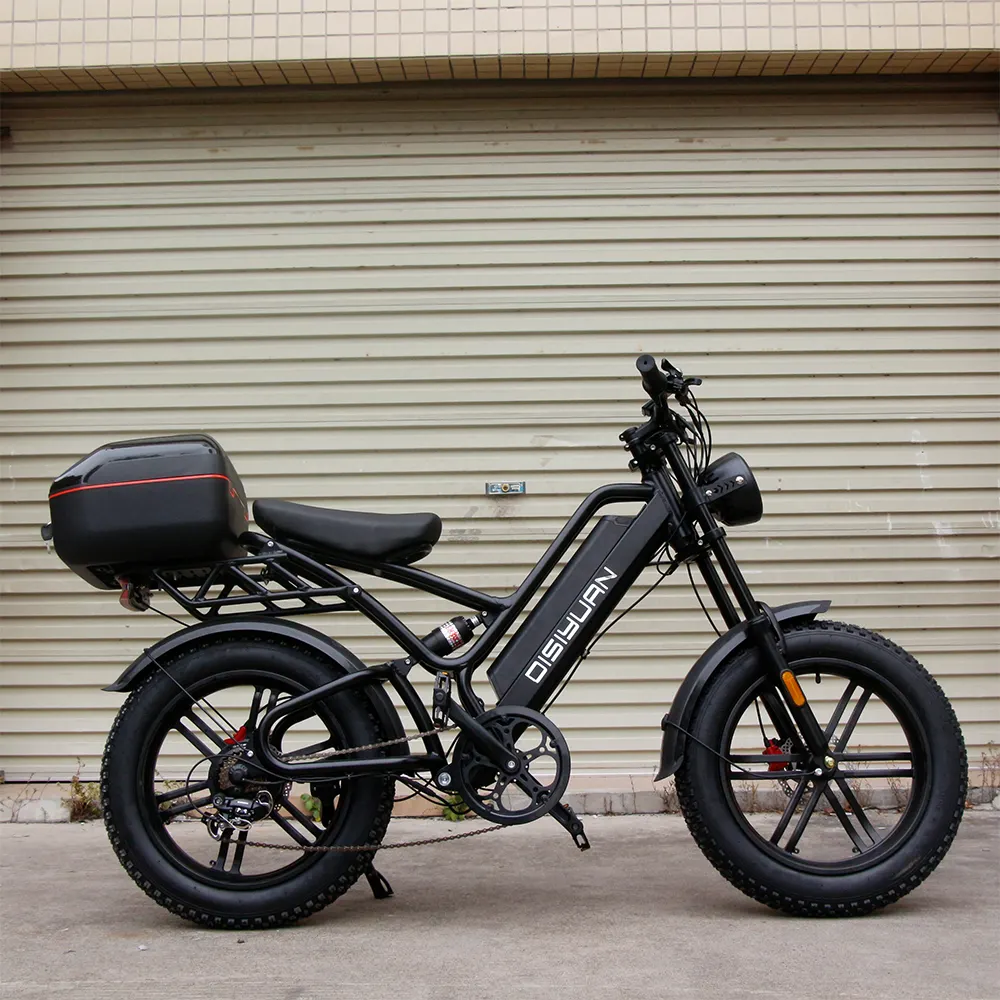 S9 20 Inci 1000W 48V 30AH Baterai Dapat Dilepas Rem Hidrolik Off Road Ban Lemak Sepeda Motor Trail Elektrik E Sepeda