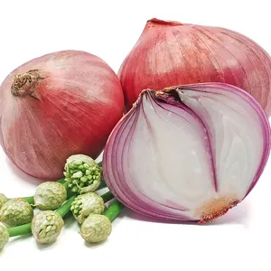 60-100mm China Fresh Red Onion Export 8kg Bag To Saudi Arabia For Sale