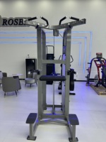 Máquina de Dominadas con Resistencia de Peso ROSEN Fitness, Equipo de Gimnasio para Ejercicios de Brazos, Máquina de Dip Asistida para Fisicoculturismo