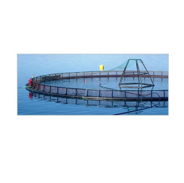 High Quality Hdpe Aquaculture Fish Farming