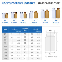 Vente en gros de flacons en verre tubulaire transparents stériles gravés mats de 3 ml à 30 ml pour les médicaments pharmaceutiques