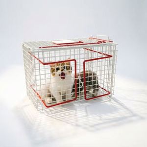 Cage de transport et de confinement polyvalente pour animaux de compagnie (TNR) – Boîte de transfert pour chats, chiens et petits animaux – Portable, légère, en acier, pour injections - Product Image 1