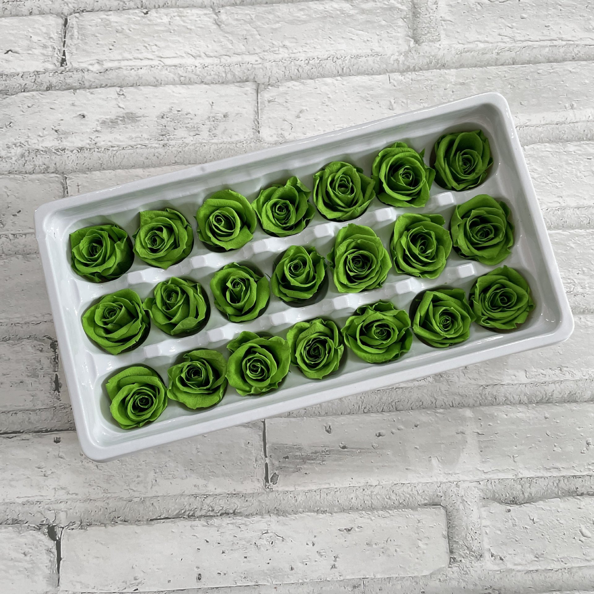 หญ้าสีเขียว