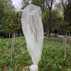 Suntex 5 năm bảo hành <span class=keywords><strong>citrus</strong></span> Tree Túi Vườn Ươm bảo vệ cây ăn quả Bộ sưu tập lưới cho <span class=keywords><strong>citrus</strong></span> Tree lưới - Product Image 1