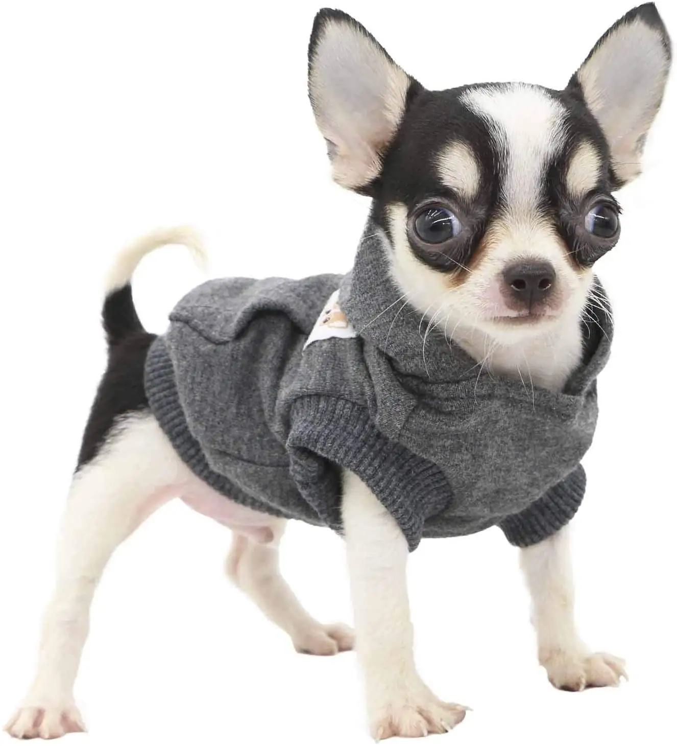 चीन निर्माता प्याली पिल्ला छोटे कुत्तों के लिए कुत्ते कपास Hoodies Sweatshirts