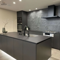 Meuble de cuisine modulaire classique en acier inoxydable avec construction en contreplaqué, quincaillerie à fermeture douce, armoire de cuisine électrique et robinet de salle à manger