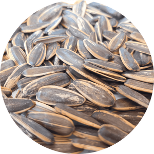 Graines <span class=keywords><strong>de</strong></span> <span class=keywords><strong>melon</strong></span> caramélisées séchées chinoises <span class=keywords><strong>de</strong></span> qualité supérieure, vente en gros <span class=keywords><strong>de</strong></span> collations en vrac très demandées - Product Image 1