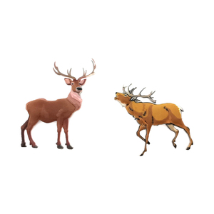 Offre Spéciale : Aimants de Réfrigérateur 3D en PVC Souple – Souvenirs de Voyage Zoo, Magnets Personnalisés Tigre <span class=keywords><strong>Lion</strong></span> Dessin Animé pour Cadeaux - Product Image 4
