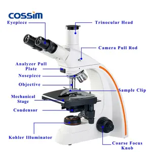 BL-180T Trinocular Compound Infinity Ergonomic Laboratory Biological Microscopes Biological for School Teaching Medical Research