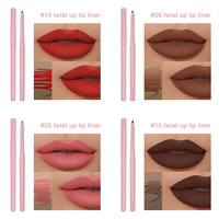 Crayon à Lèvres Crème Mat Rose Rétractable Végétalien Longue Tenue Anti-Bavures Imperméable Nude en Gros Marque Privée Fournisseur