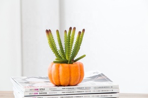 Commercio all'ingrosso diretto della fabbrica incredibile <span class=keywords><strong>zucca</strong></span> vaso bonsai casa decorazione di Halloween artificiale piante succulente per la vendita - Product Image 3